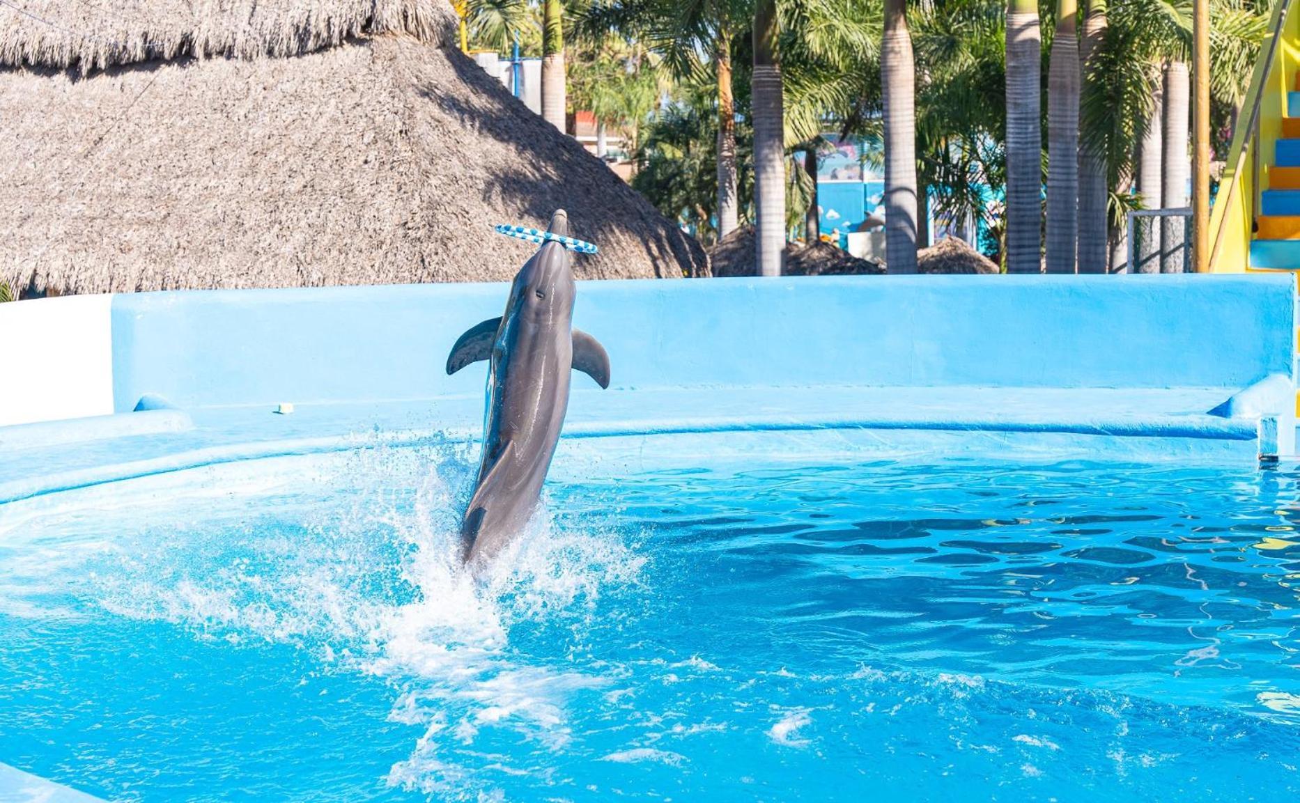 Splash Inn Nuevo Vallarta & Parque Acuatico Kültér fotó